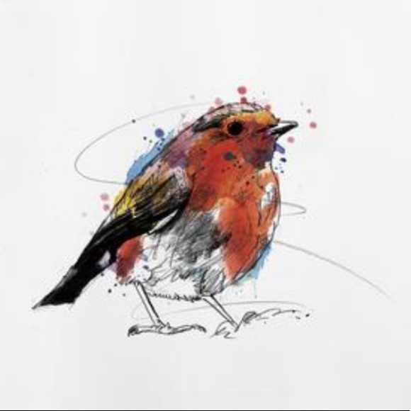 Meet your Posher, Kathy, The Ruffled Robin - Picture 3 of 11